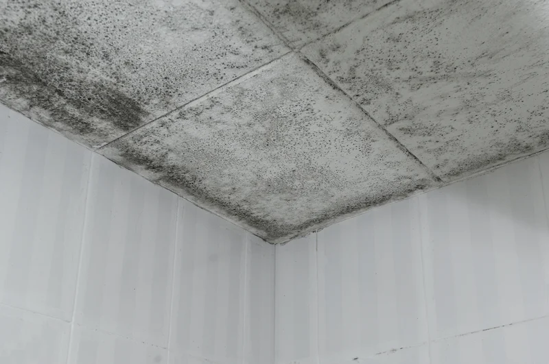 Muffa soffitto per infiltrazione acqua